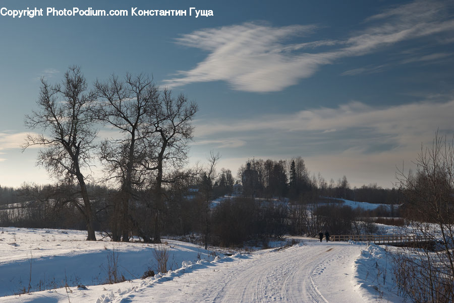 Ice, Outdoors, Snow, Dirt Road, Gravel, Road, Forest