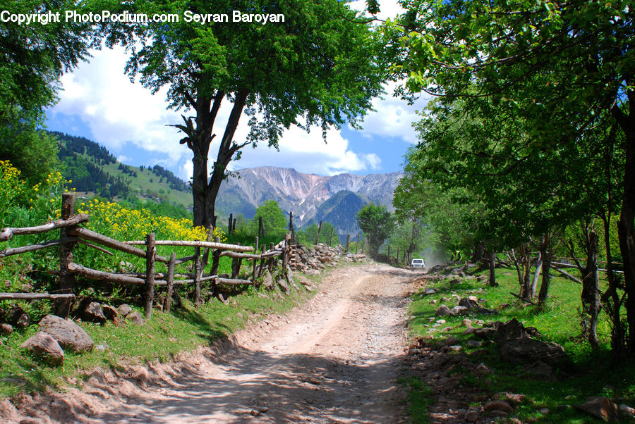 Dirt Road, Gravel, Road, Path, Walkway, Soil, Rock