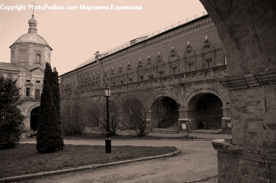 Arch, Fence, Hedge, Plant, Architecture, Bell Tower, Clock Tower