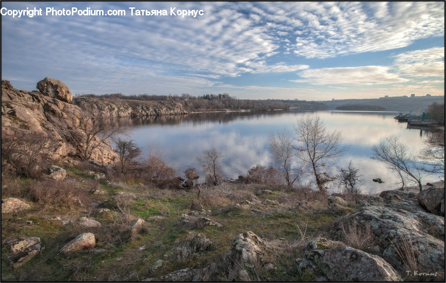 Outdoors, Wilderness, Rock, Land, Marsh, Pond, Swamp