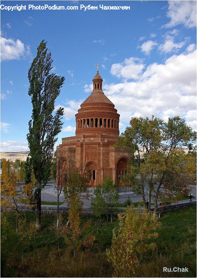 Plant, Potted Plant, Architecture, Bell Tower, Clock Tower, Tower, Building