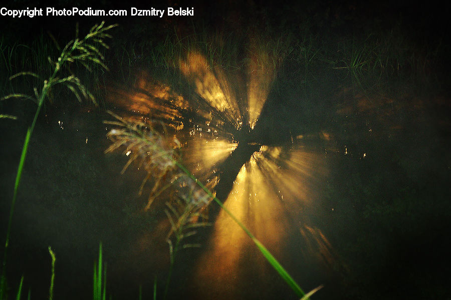 Aurora, Light, Night, Outdoors, Fireworks, Algae, Field