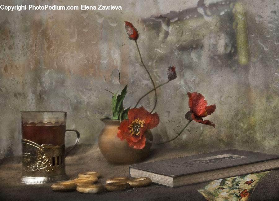 Plant, Potted Plant, Flower Arrangement, Ikebana, Vase, Glass, Goblet