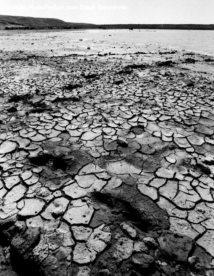 Soil, Ground