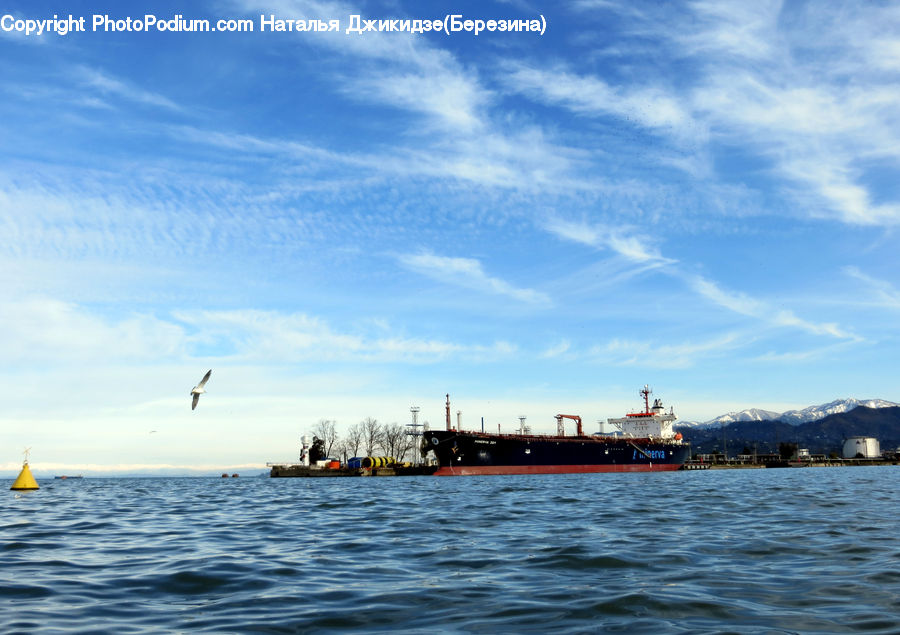 Ferry, Freighter, Ship, Tanker, Vessel