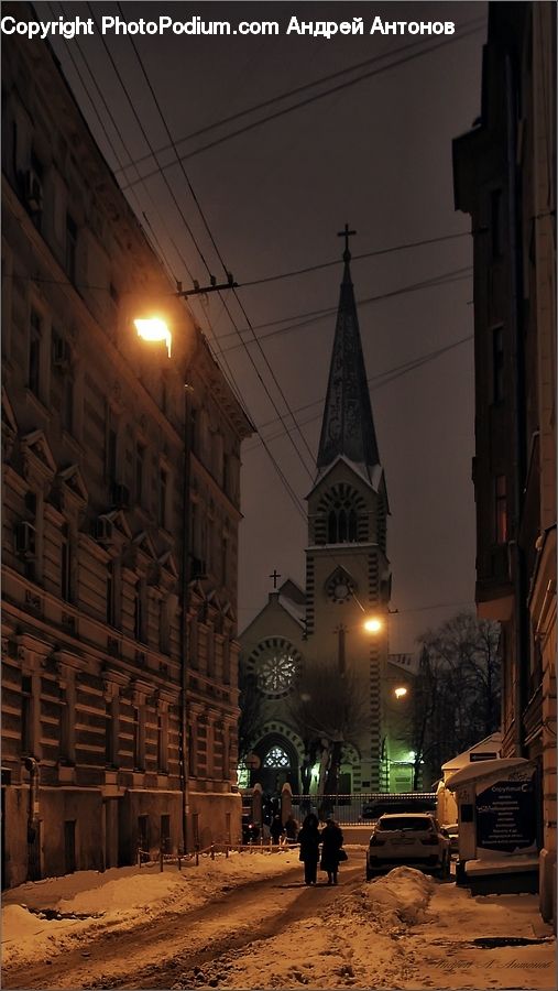 Plant, Potted Plant, Architecture, Cathedral, Church, Worship, Bell Tower