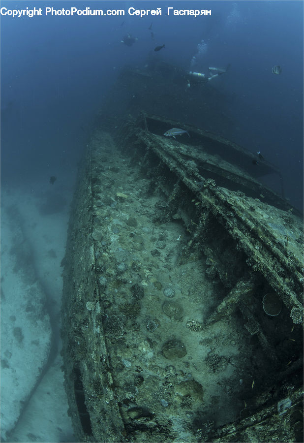 Shipwreck, Coast, Outdoors, Sea, Water