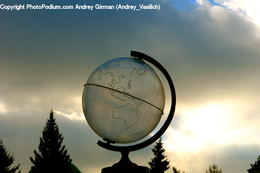 Globe, Planet, Sphere, Conifer, Fir, Spruce, Wood