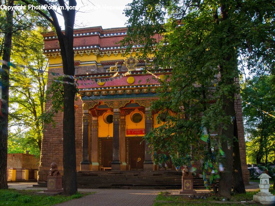 Bench, Architecture, Shrine, Temple, Worship, Ivy, Plant