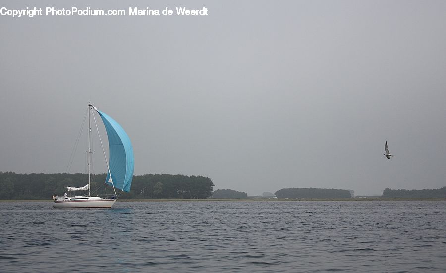 Boat, Yacht, Dinghy, Sailboat, Vessel, Watercraft, Leisure Activities