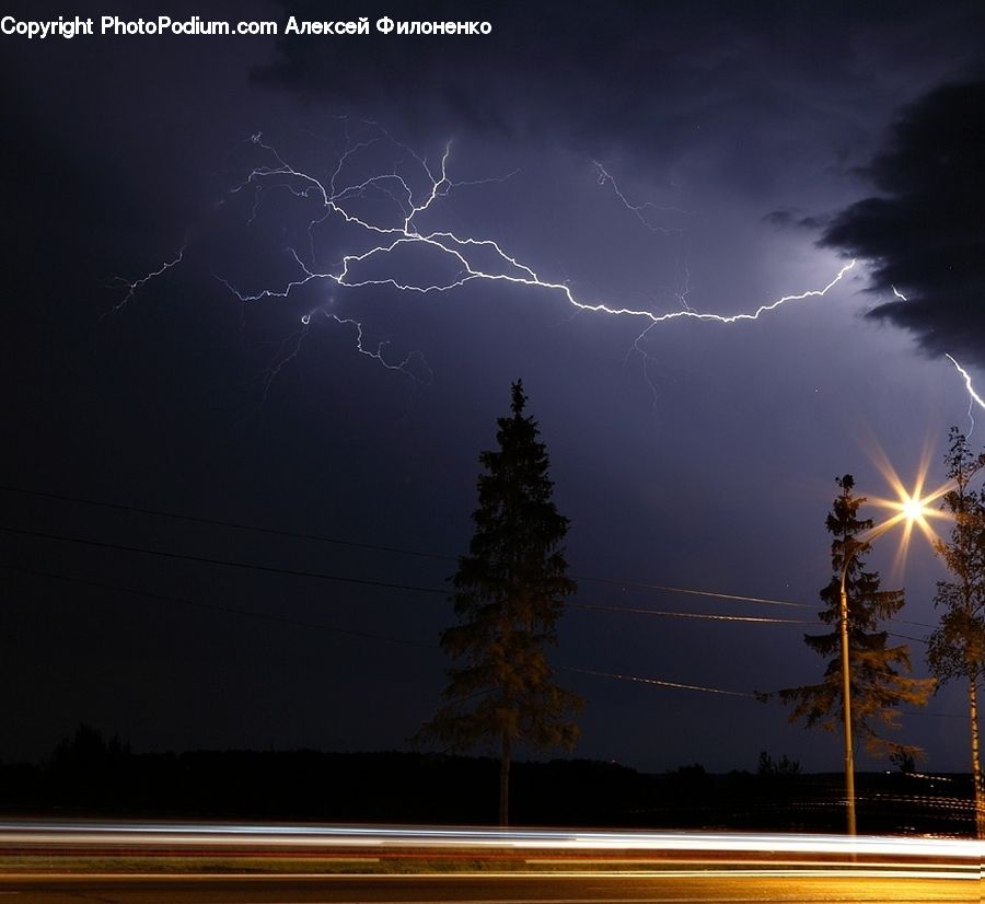 Light, Lightning, Weather, Conifer, Fir, Plant, Tree