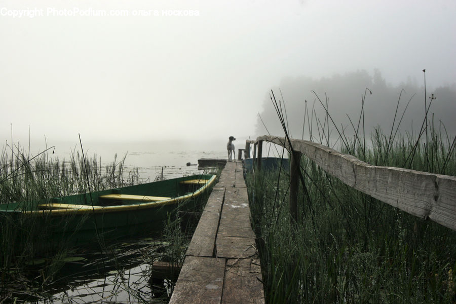 Grass, Plant, Reed, Dock, Landing, Pier, Bench