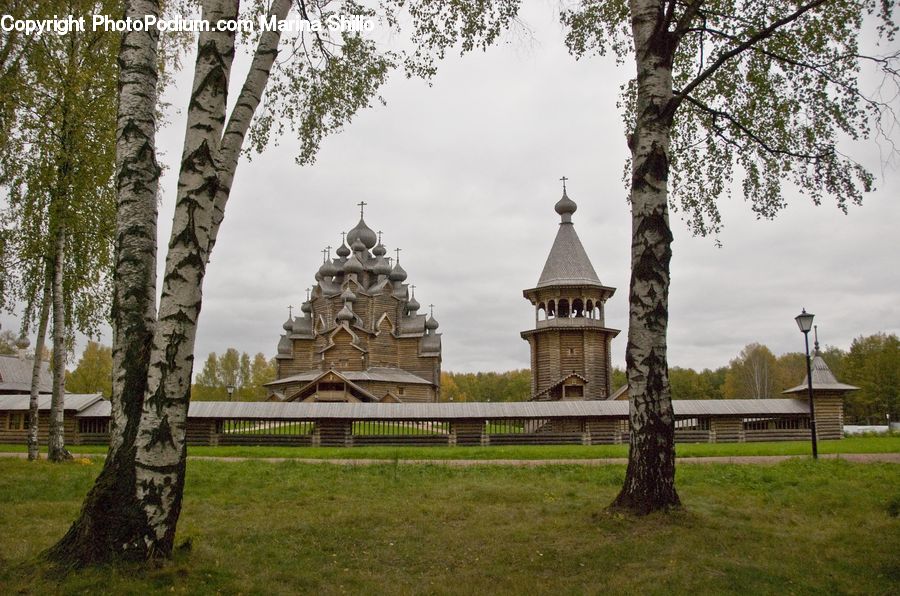 Birch, Tree, Wood, Architecture, Castle, Fort, Cathedral