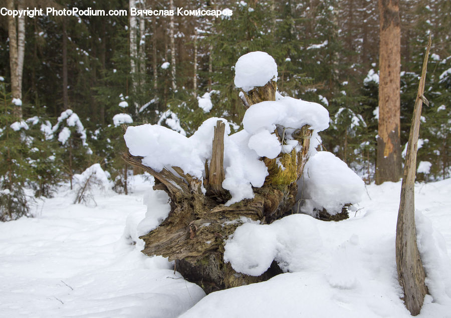 Blizzard, Outdoors, Snow, Weather, Winter, Ice, Snowman