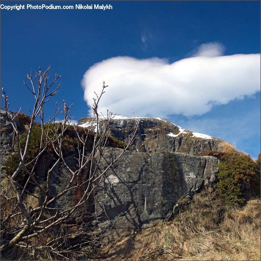 Cliff, Outdoors, Plant, Vegetation, Rubble, Field, Grass