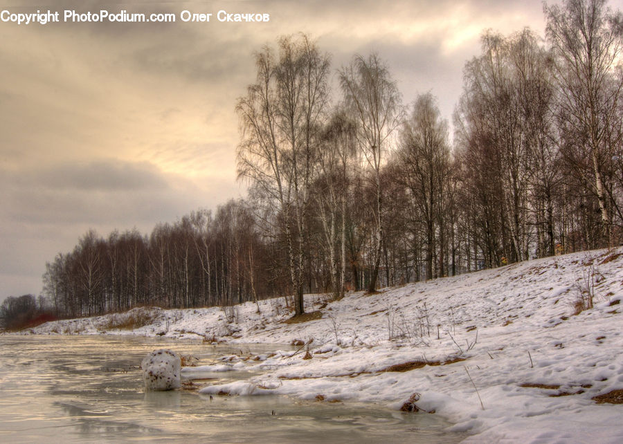 Flood, Landscape, Nature, Scenery