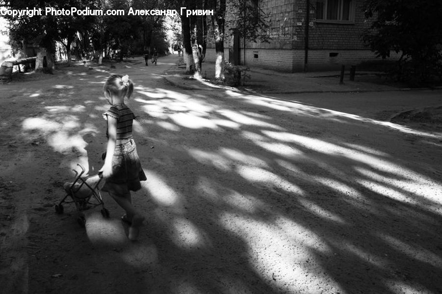 Plant, Potted Plant, People, Person, Human, Asphalt, Tarmac