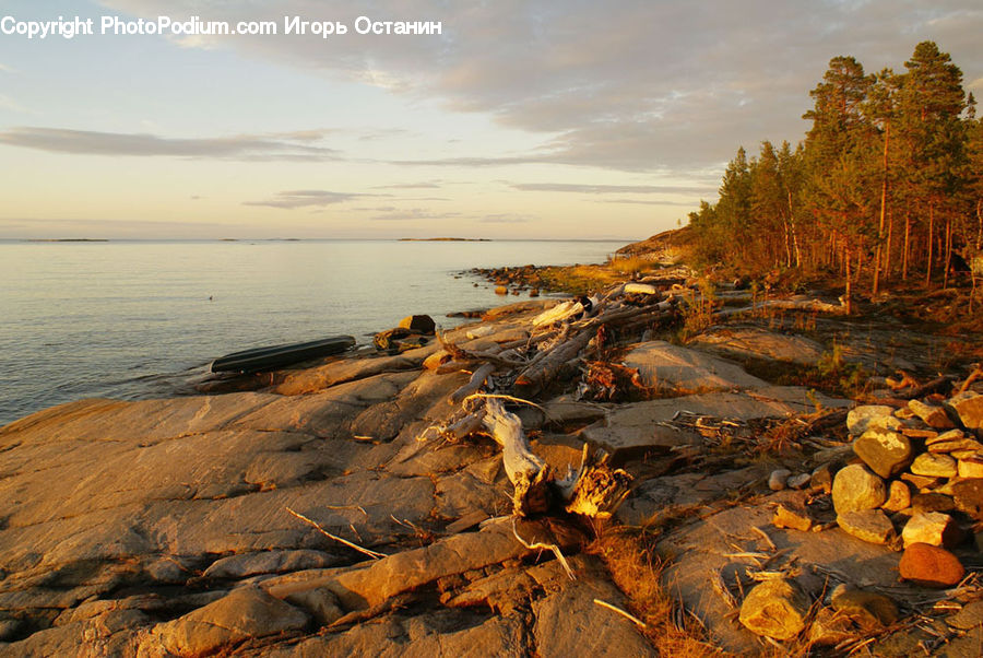 Coast, Outdoors, Sea, Water, Rock, Beach, Ground