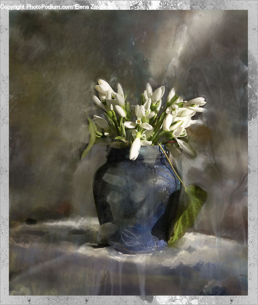 Plant, Potted Plant, Blossom, Flora, Flower, Petal, Agavaceae