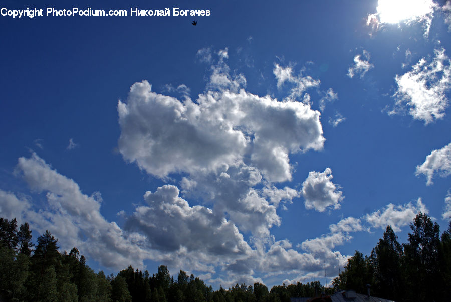 Azure Sky, Cloud, Outdoors, Sky, Cumulus