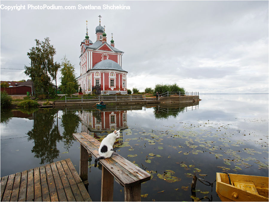 Puddle, Architecture, Bell Tower, Clock Tower, Tower, Adorable, Column