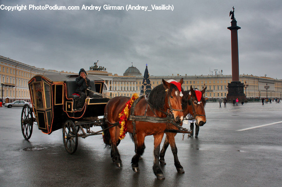 Carriage, Horse Cart, Vehicle, Animal, Horse, Mammal, Car