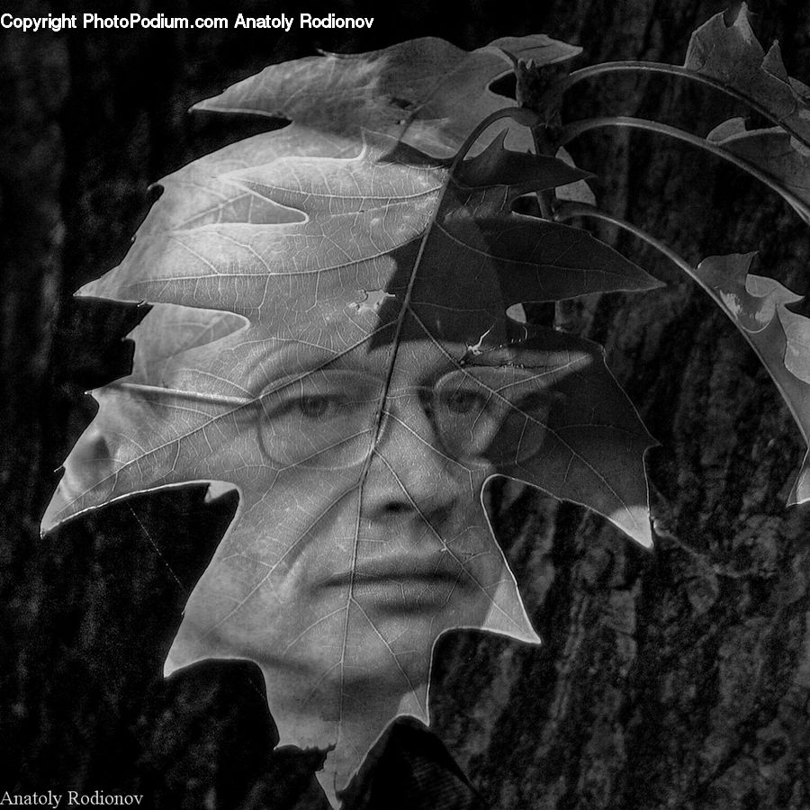 People, Person, Human, Veins, Ivy, Plant, Vine