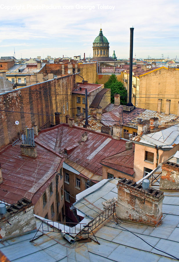 Roof, Building, Downtown, Town, Plant, Potted Plant, Brick
