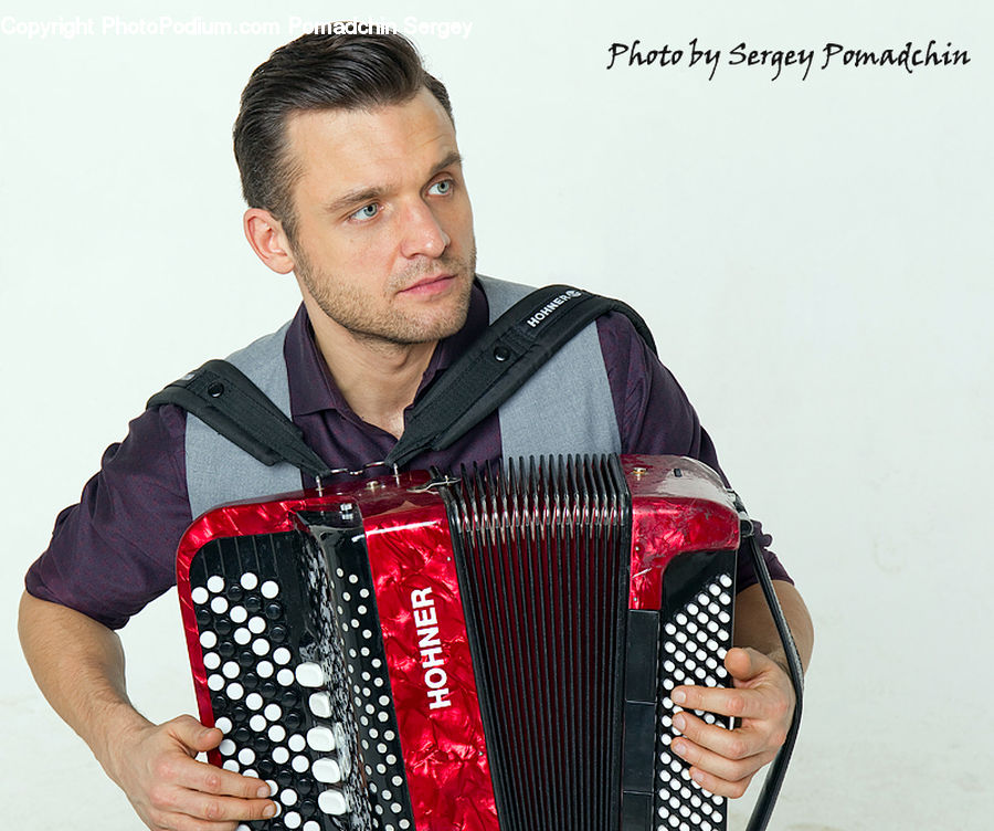 Human, People, Person, Accordion, Musical Instrument