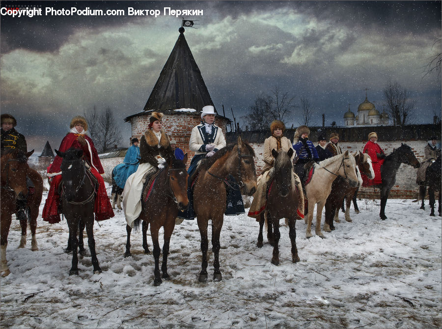 Human, People, Person, Animal, Horse, Mammal, Equestrian