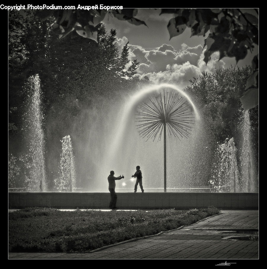 Fountain, Water, Plant, Lighting, Blossom, Flora, Flower
