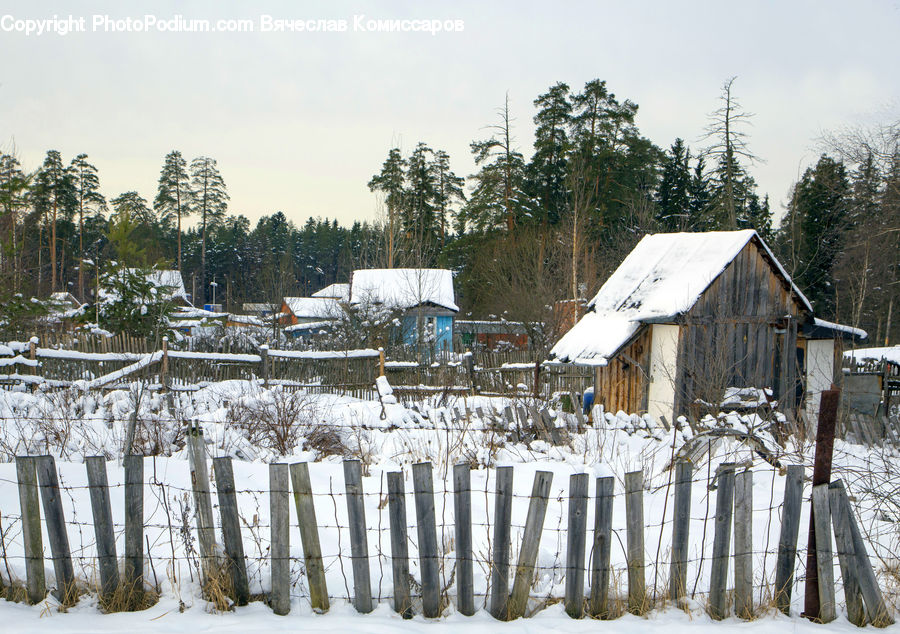 Fence, Conifer, Fir, Plant, Tree, Cabin, Hut