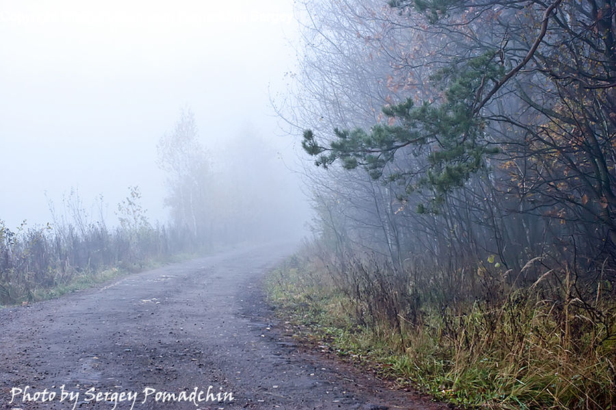 Dirt Road, Gravel, Road, Fog, Landscape, Nature, Scenery