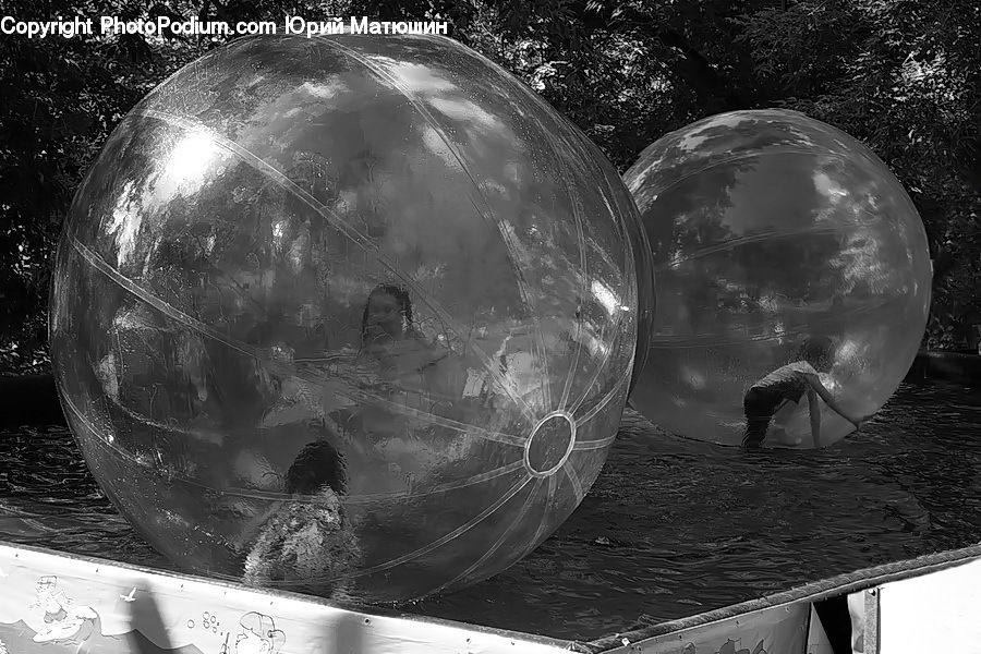 Bubble, Globe, Planet, Sphere, Water, Moss, Plant
