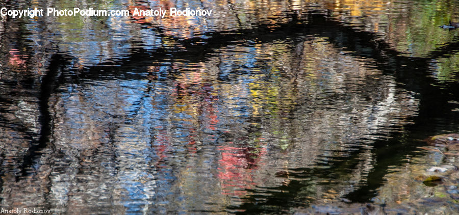 Outdoors, Ripple, Water, Land, Marsh, Pond, Swamp