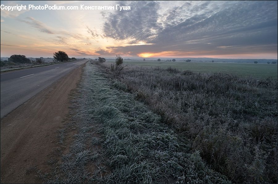 Dirt Road, Gravel, Road, Field, Grass, Grassland, Land