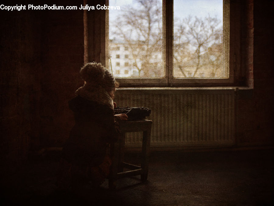 Bench, Animal, Canine, Dog, Mammal, Pet, Poodle