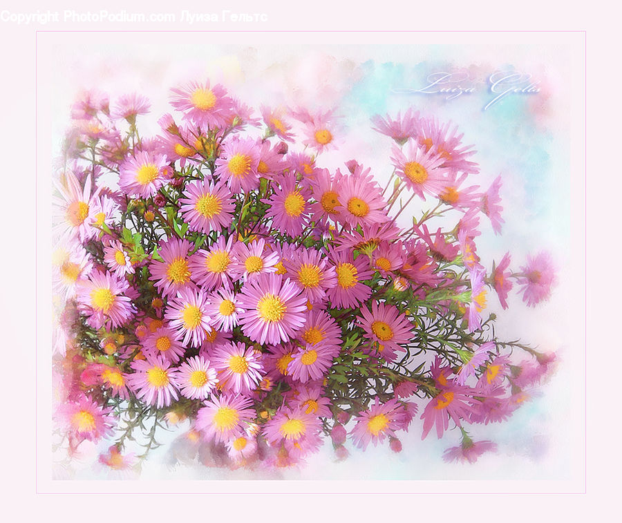 Art, Flower, Flower Arrangement, Flower Bouquet, Blossom, Flora, Plant