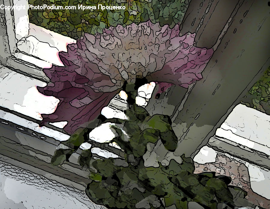 Ivy, Plant, Vine, Atlas, Map, Paper, Art