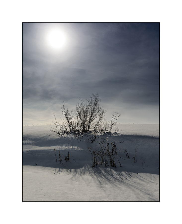 Blizzard, Outdoors, Snow, Weather, Winter, Collage, Poster