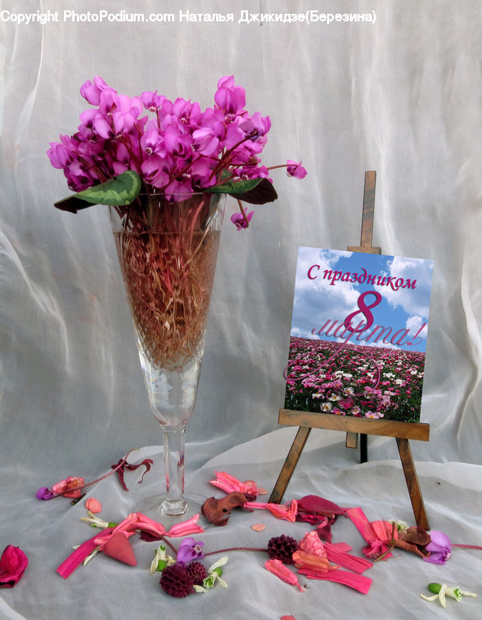 Glass, Goblet, Birthday Cake, Cake, Dessert, Food, Floral Design