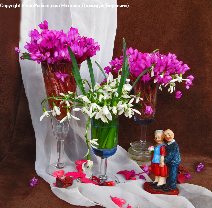 People, Person, Human, Plant, Potted Plant, Glass, Goblet