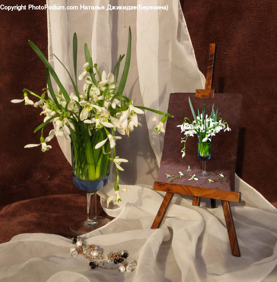 Dining Table, Furniture, Table, Plant, Potted Plant, Dining Room, Indoors