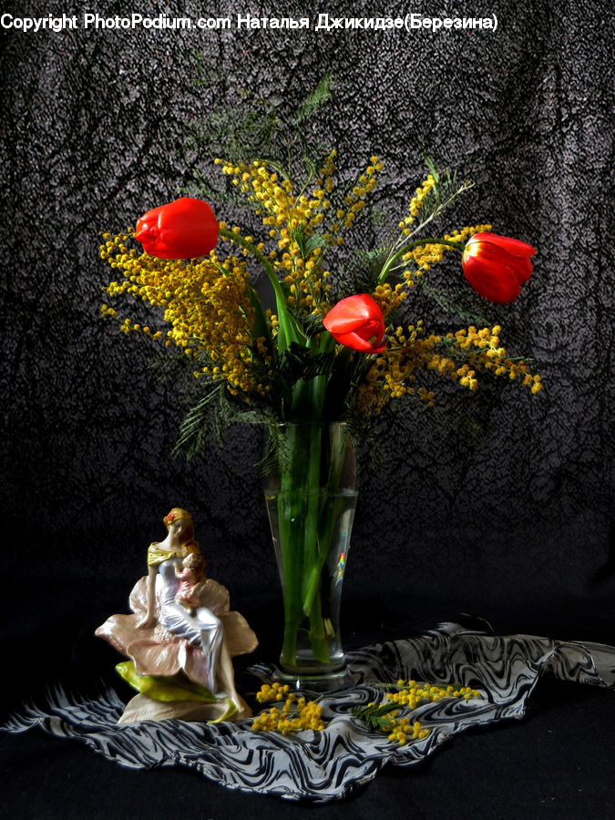 People, Person, Human, Blossom, Flora, Flower, Plant
