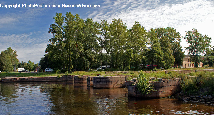 Canal, Outdoors, River, Water, Creek, Plant, Tree