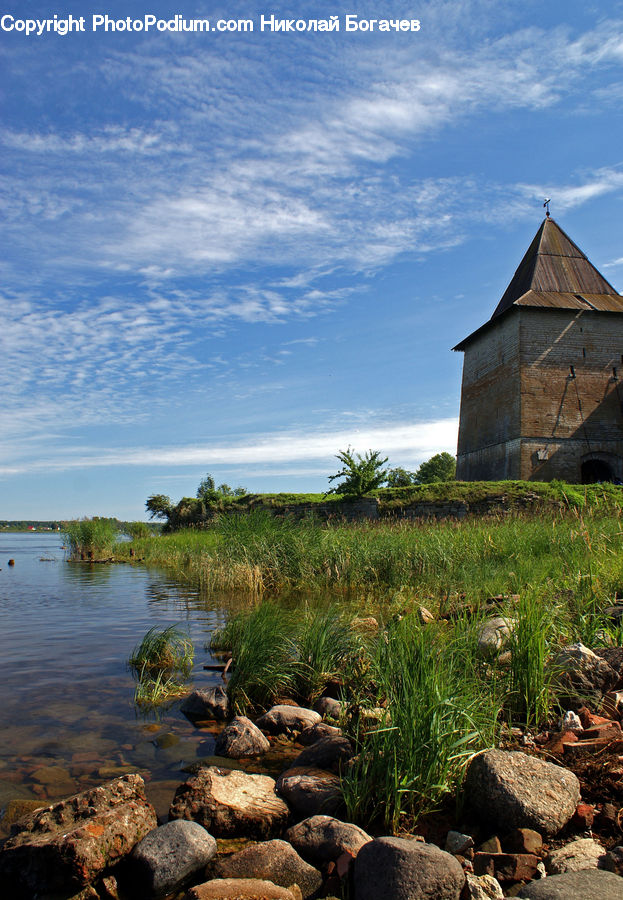 Outdoors, Pond, Water, Building, Hut, Shelter, Reptile