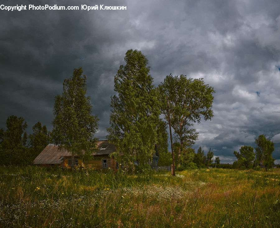 Field, Grass, Grassland, Land, Outdoors, Cabin, Hut