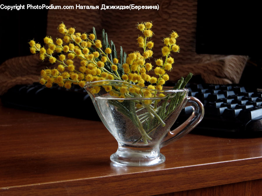 Glass, Goblet, Floral Design, Flower, Flower Arrangement, Flower Bouquet, Ikebana