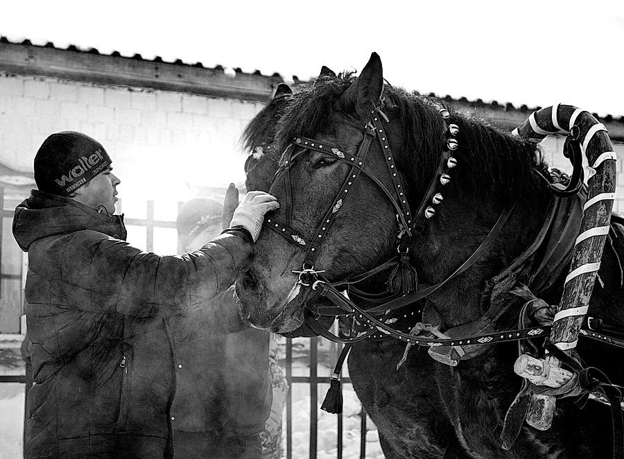People, Person, Human, Animal, Horse, Mammal, Portrait