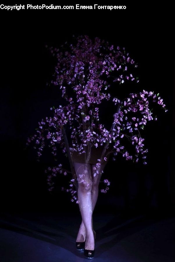 Plant, Potted Plant, Dance, Dance Pose, Blossom, Flower, Lilac